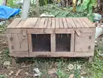 Chicken cage(Kozhikkood)