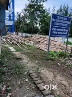 BAMBOO Selling at reasonable price