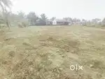 16 Gunta land sale near kunigal, 75 km from Bangalore...