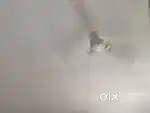 Ceiling Fan