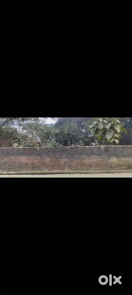 यह प्लॉट रानीडीहा चौराहे से 1.5 km अंदर चाणक्यपूरी कालोनी में है