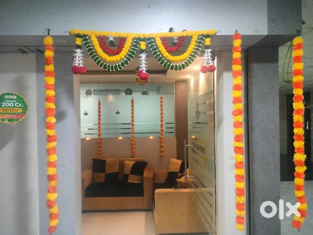 Collection executive