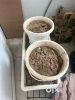8 plastic planters with mud