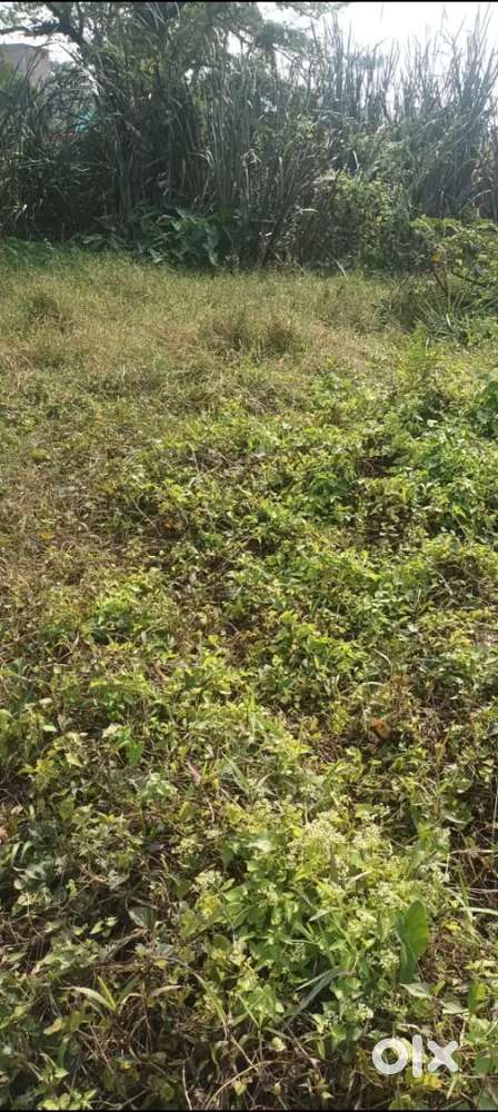 Plotted land available for sale near Joka Swaminarayan temple