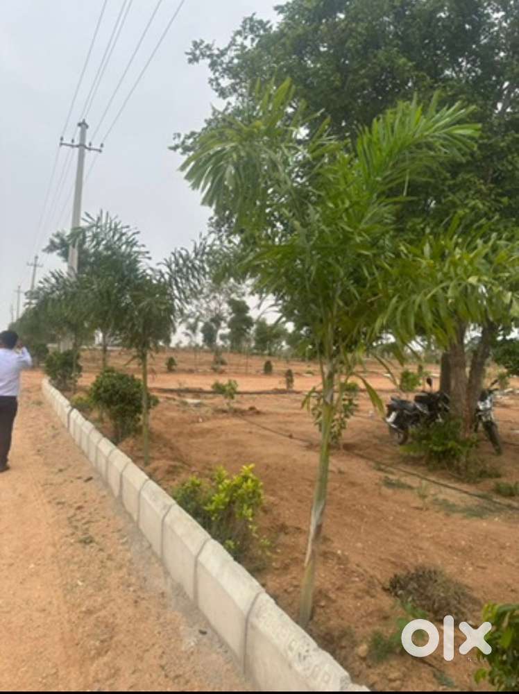 Premium open plot for sale - Shadnagar  DTCP / RERA Approved