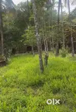 5-Acre Prime Land for Sale – 2 km from Shringeri, Ideal for Layout