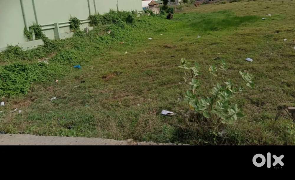 Plot for sale near Balitutha market