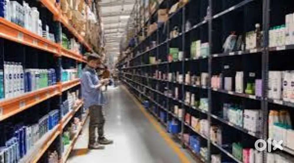 Wanted male/ female packing helpers with food/ accomdation