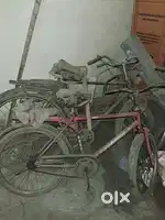 Brand new cycle