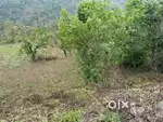 2.5 Bigha drive in plot for sale
