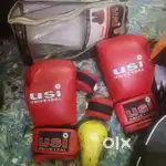 USI boxing gloves set