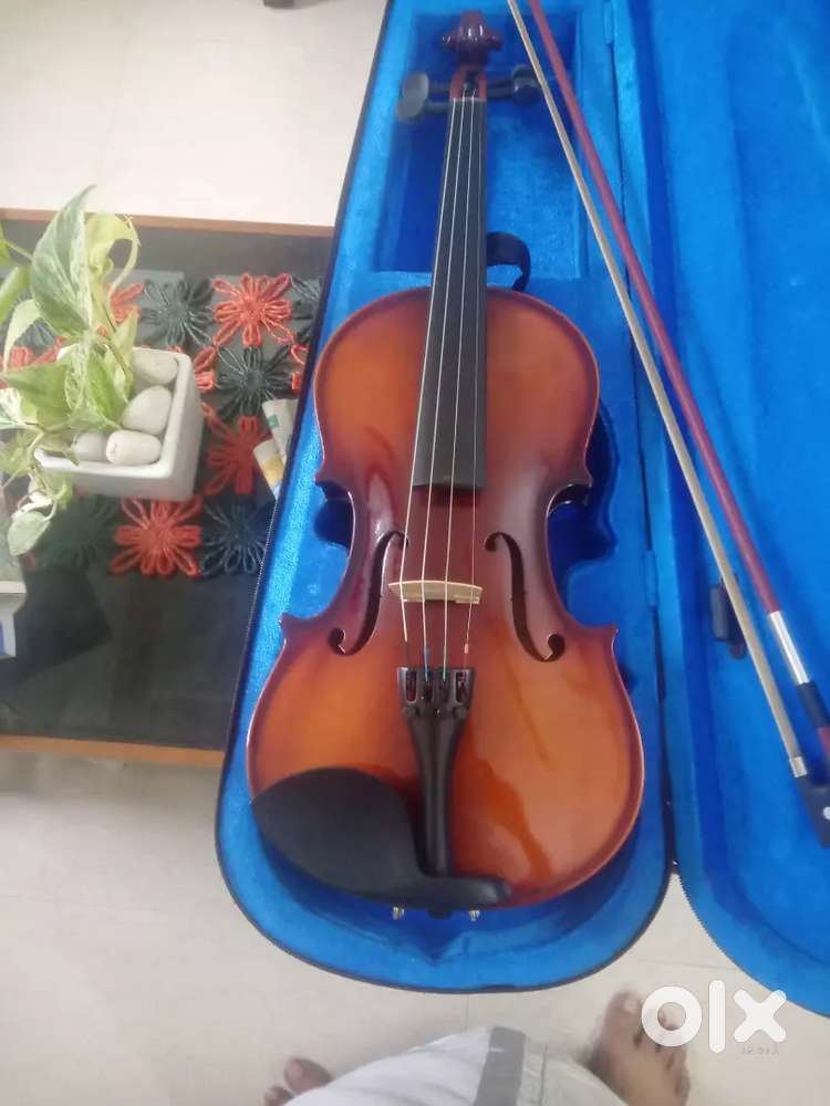 Violin musical instrument