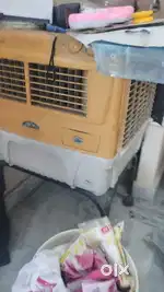 Kenstar cooler
