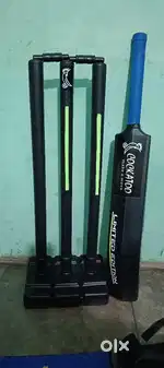 Bat and wicket new