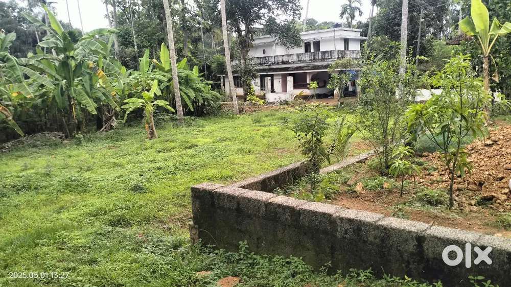 Chottanikkara temple near 10 cent plot for sale