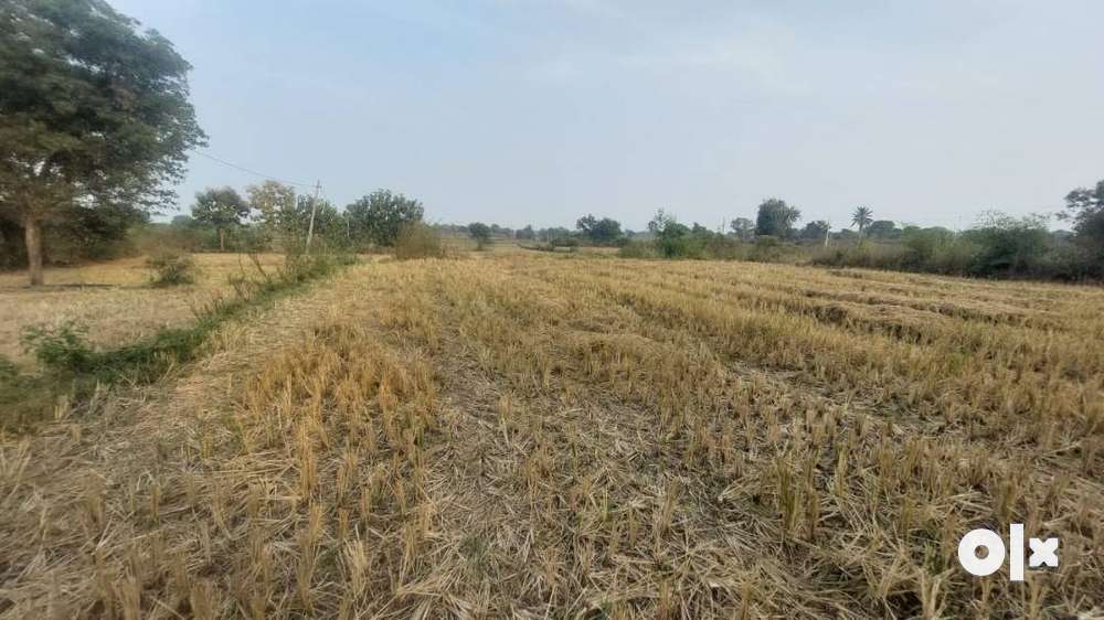 30 Guntas agri land for sale,Warangal-Siddipet Highway second BIT