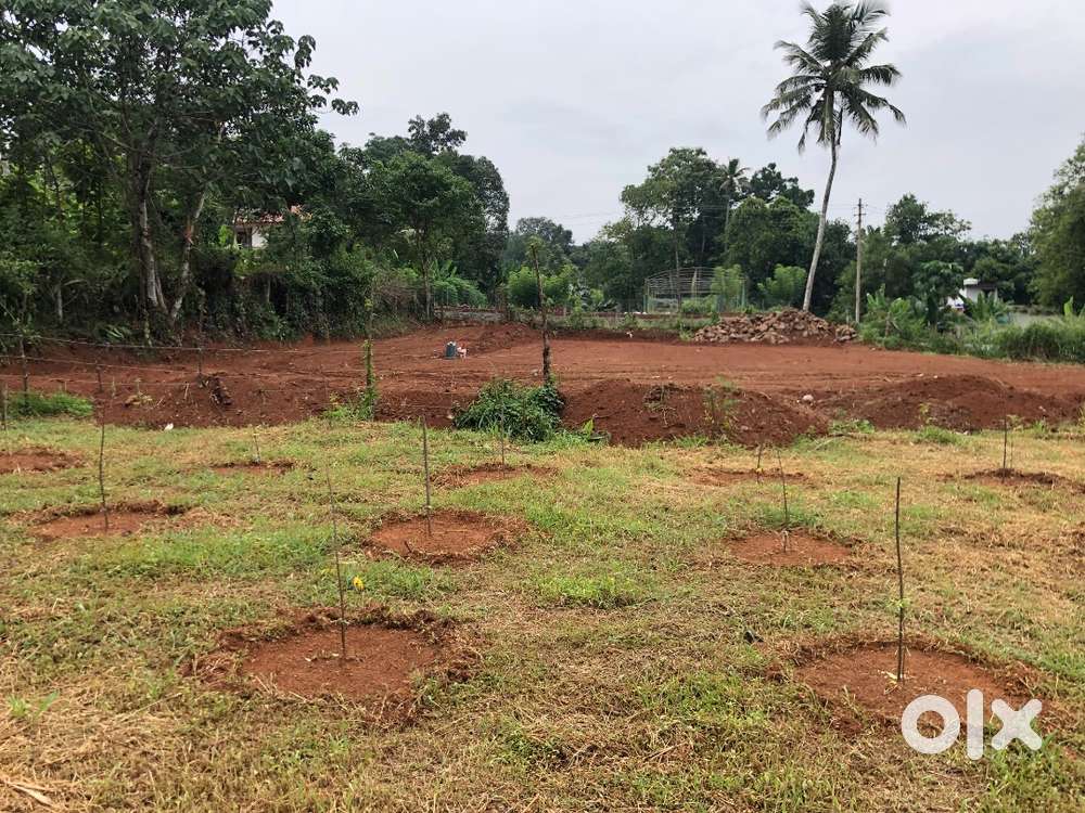 HOUSE PLOTS FOR SALE