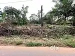 1 acre Road touch plot for Sale