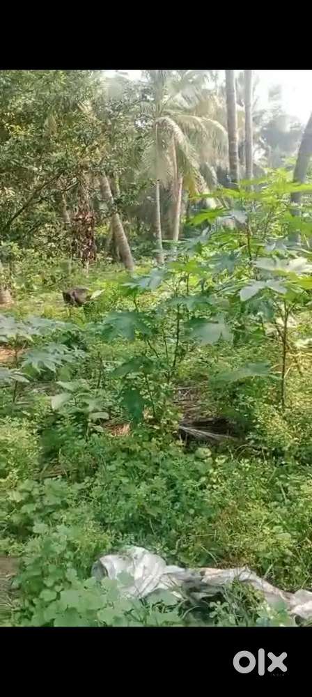 Plot for sales odiampattu puducherry