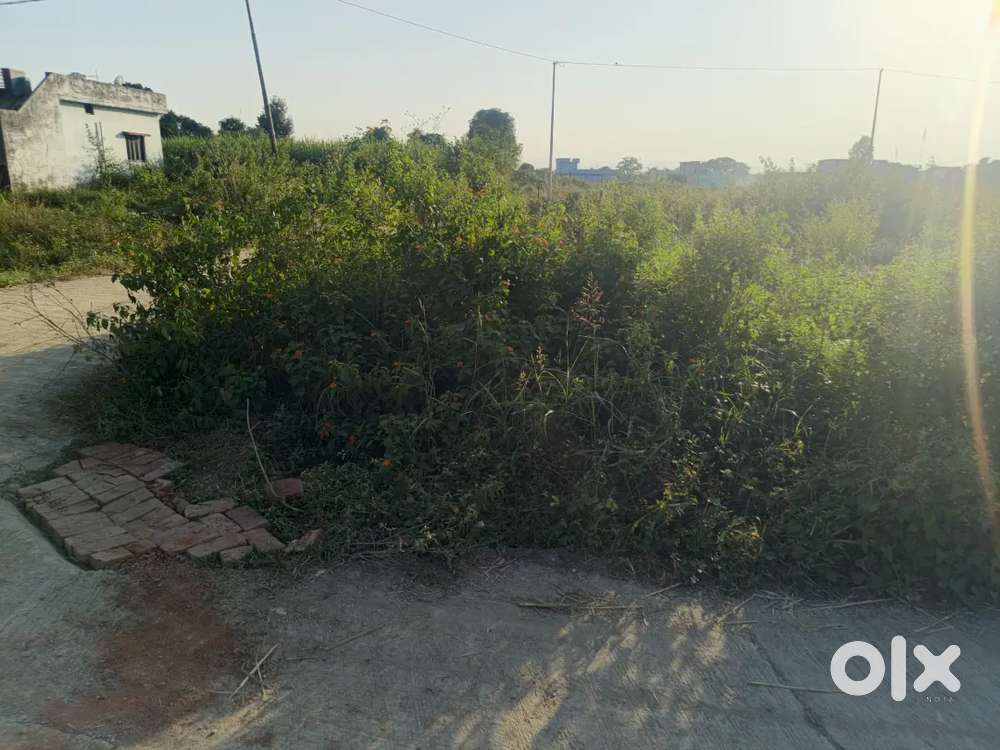 Two Side Open 205 Gaj Plot For Sale.