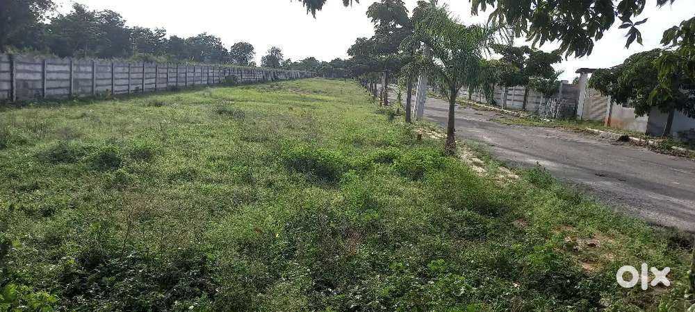 210 SqYds HMDA North-East Plot