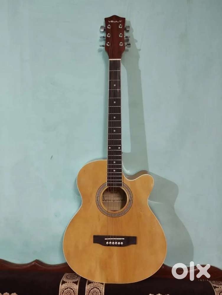 Professional Guitar
