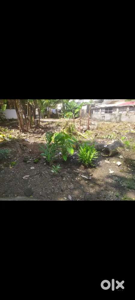 6 CENT OR 2, 3 CENT RESIDENTIAL PLOT SALE AT KALOOR DESHABHIMANI