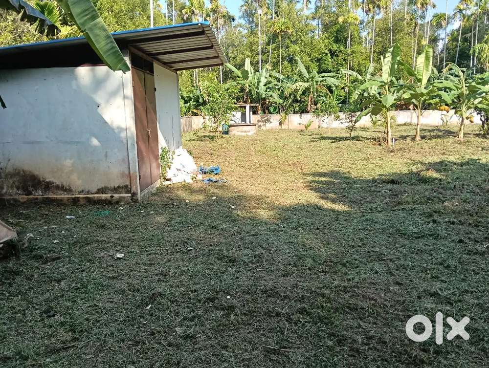 ചാലക്കുടി മൂഞ്ഞേലിയിൽ 37സെന്റ് സ്ഥലം വില്പനക്ക്