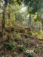 Plot for sale