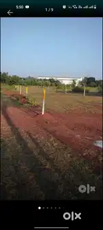 27 GUNTA Plot for sale near Sikandarpur, Kamthana, Bidar, karnataka