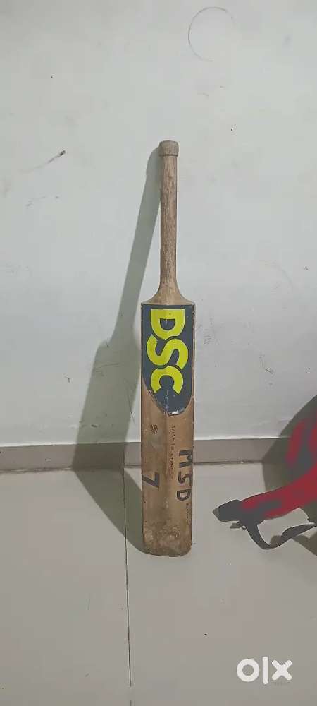 1000 DSC kashmir willow bat