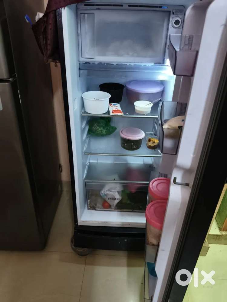 Brand new frige