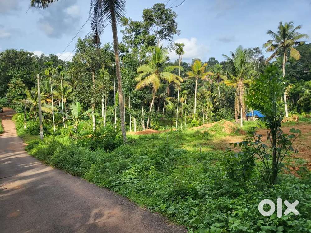 10 cent, 20cent, 30 cent plote for sale