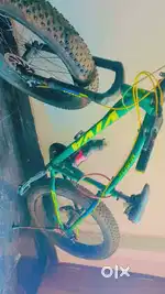 Vivo cycle