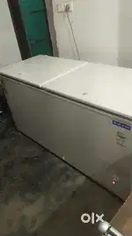 D FRIDGE JUNE 2024