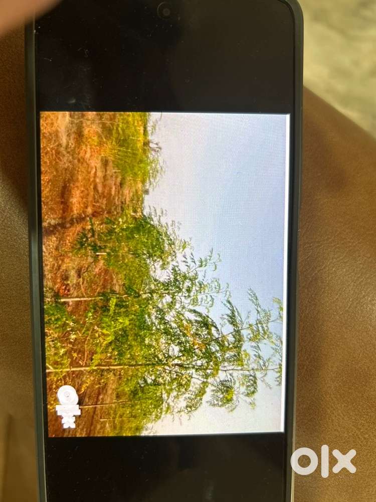 Agriculture labd for sale near pulivendula