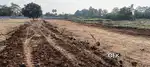 Plots with fruits plantation