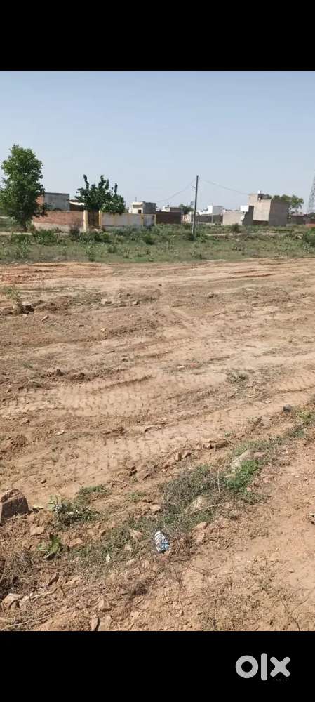 यह प्लाट बालाजी नगर में है