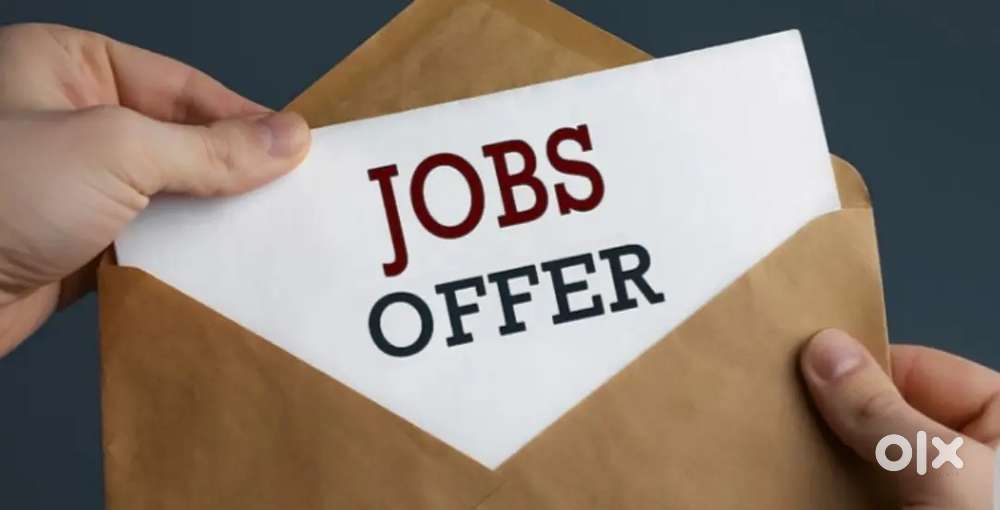 Office Working for Company