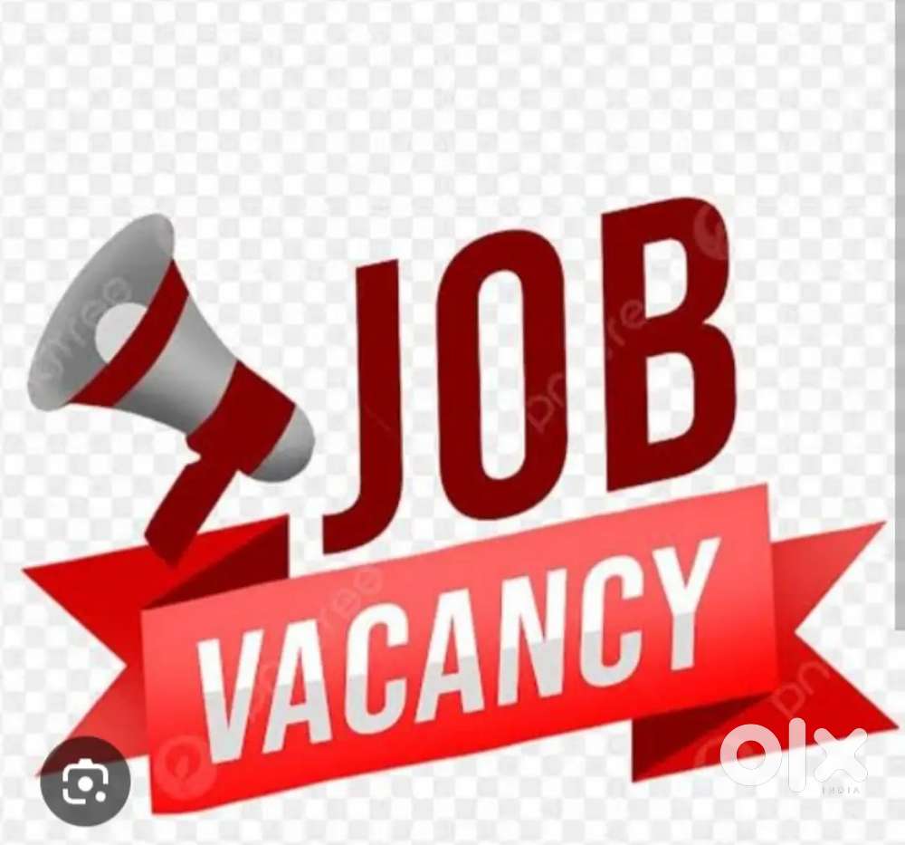 Wanted sales exicutive