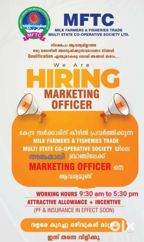 Marketing executive officer