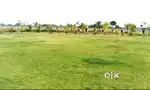 PLOT FOR SALE  (NON AGRICULTURE)