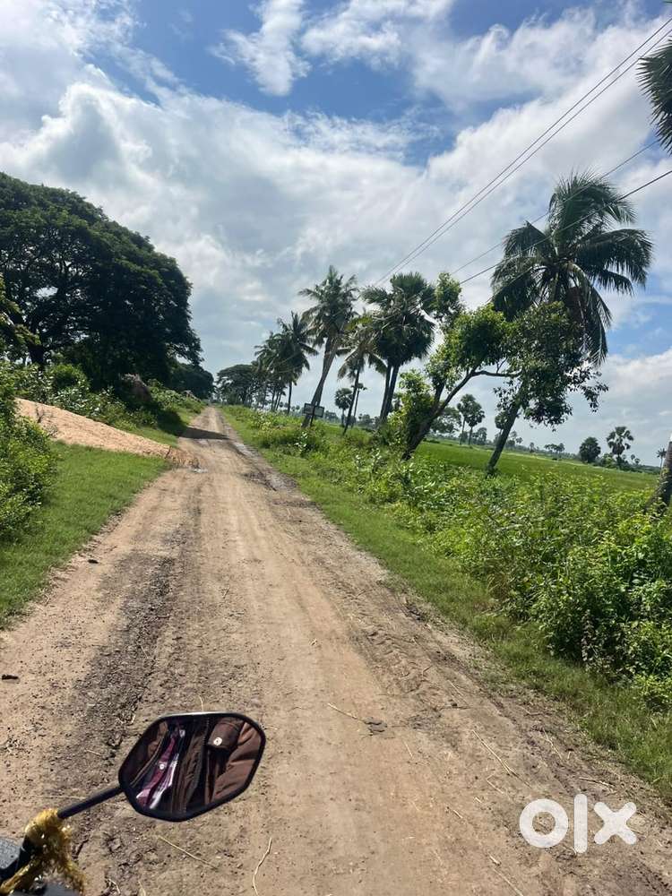 Best land to cultivate