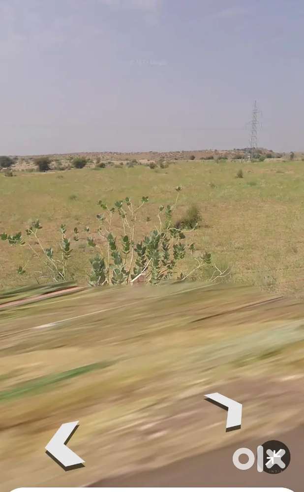 25 Bigha Jamin H Urgent Sell