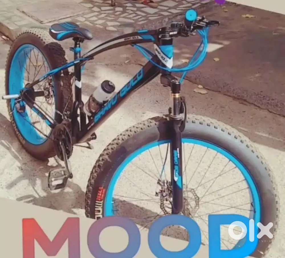 Fat bike ok condition without any problem
