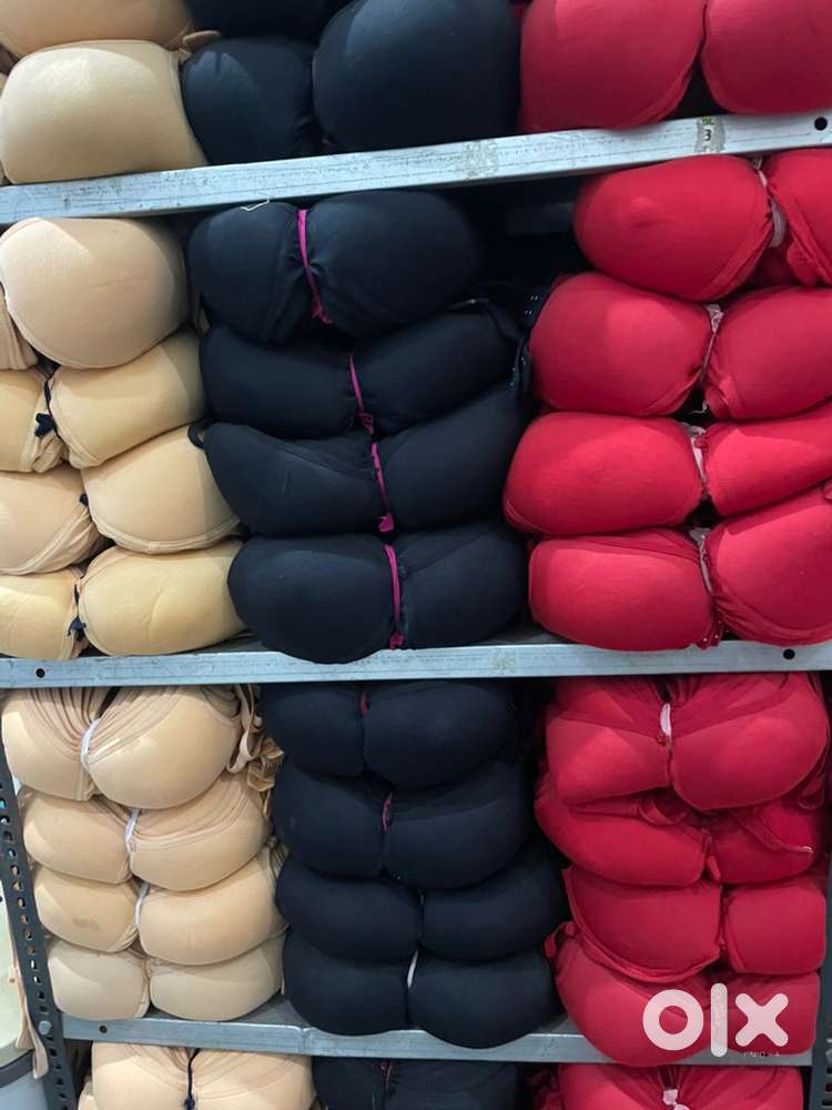 vetpins bra flipkart