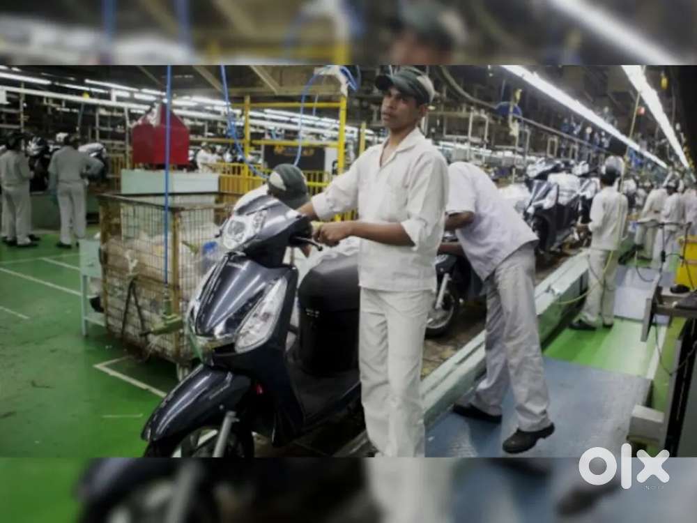 Were hiring freshers for job