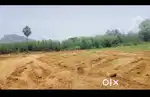 Farmland plots near Ravikamatham, Anakapalli dist. With Bank loan