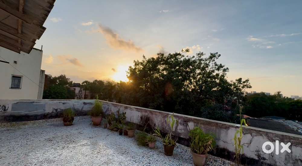 Spacious & Comfortable PG for Boys – Now Available! With open terrac