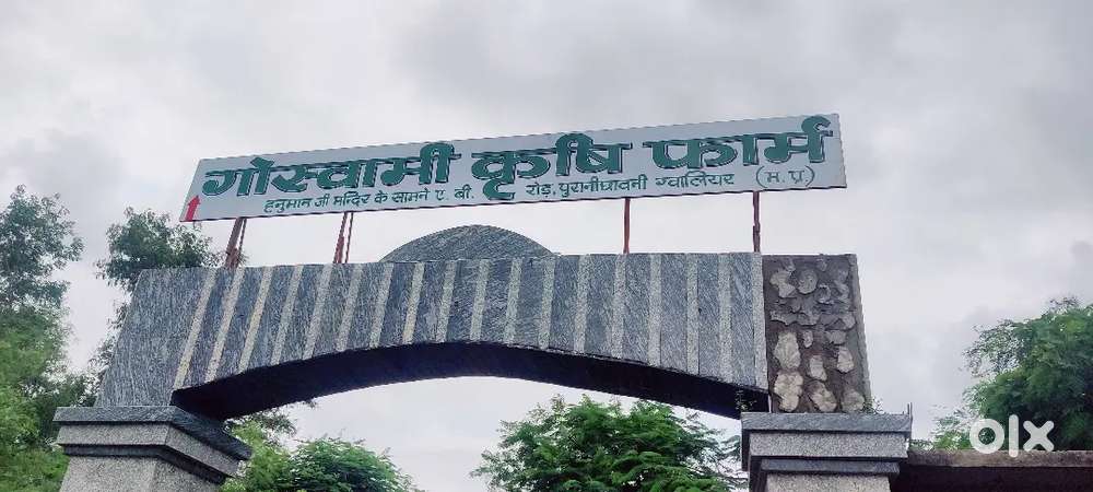 Plot for sale in bapu nagar morena road